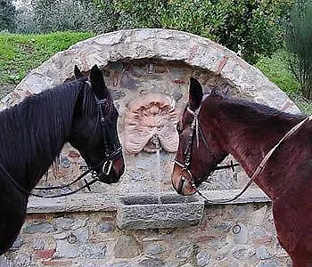 Hotel Il Piastrino Vinci