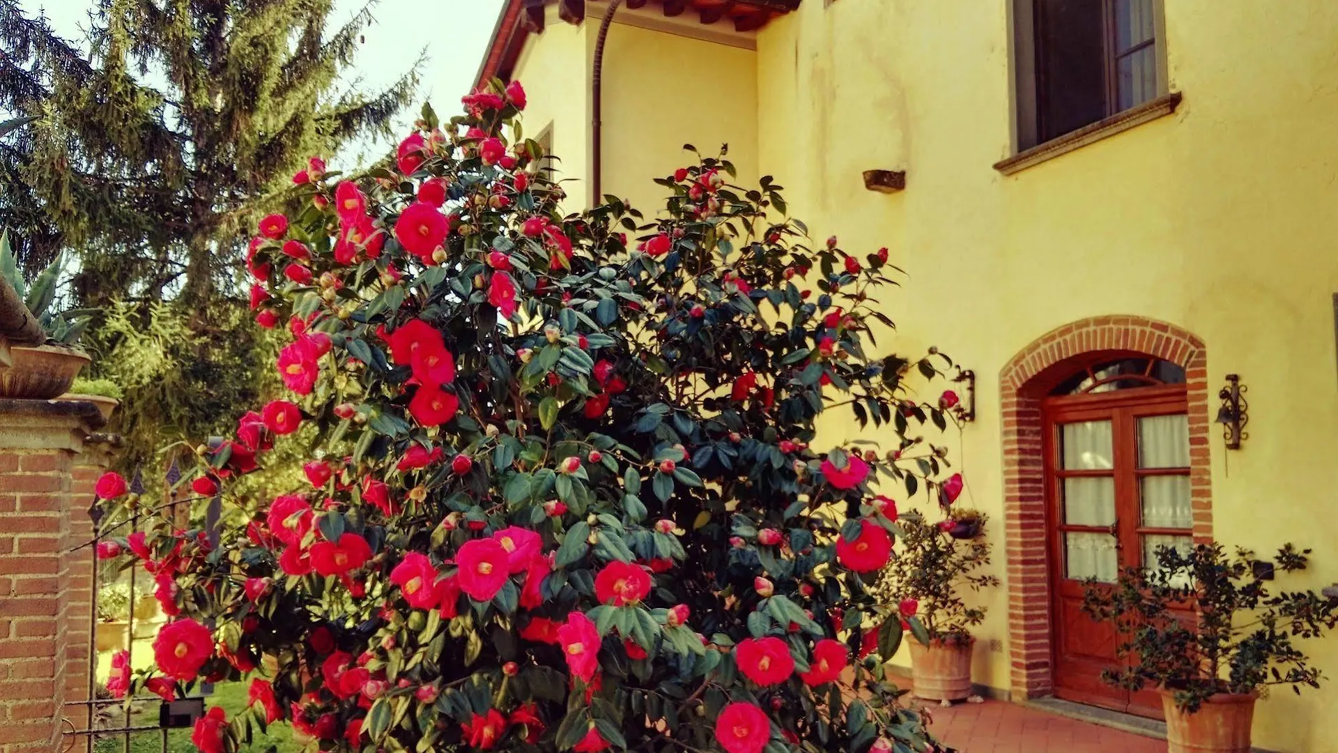 Hotel Il Piastrino Vinci Itálie